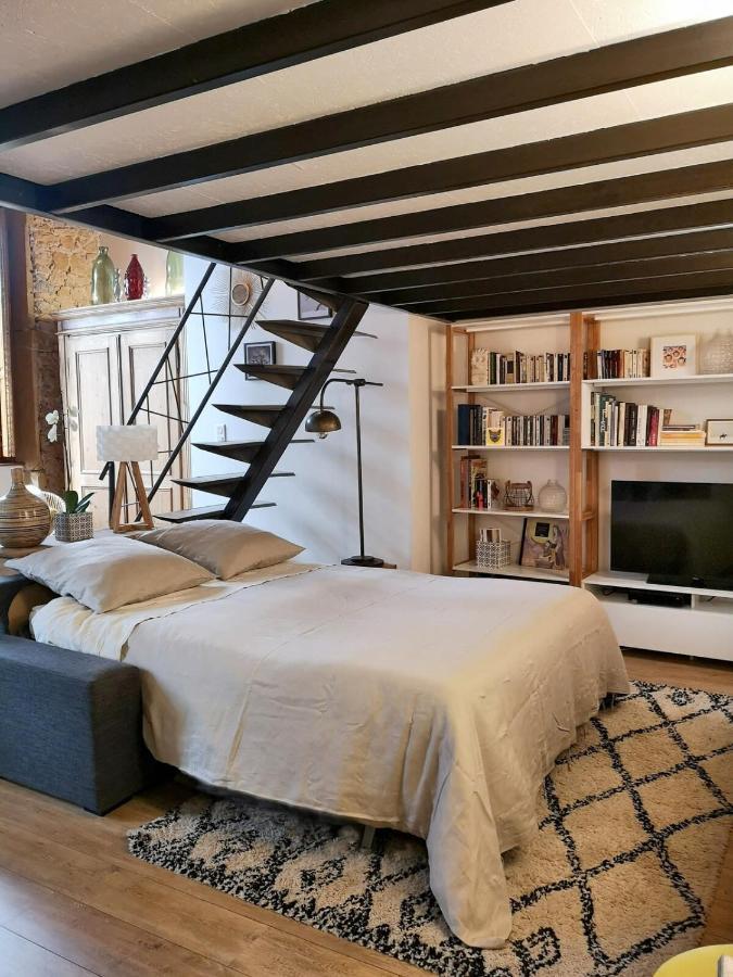 Apartament Authentic Loft With Mezzanine & Exposed Stones Heart Of Lyon Zewnętrze zdjęcie